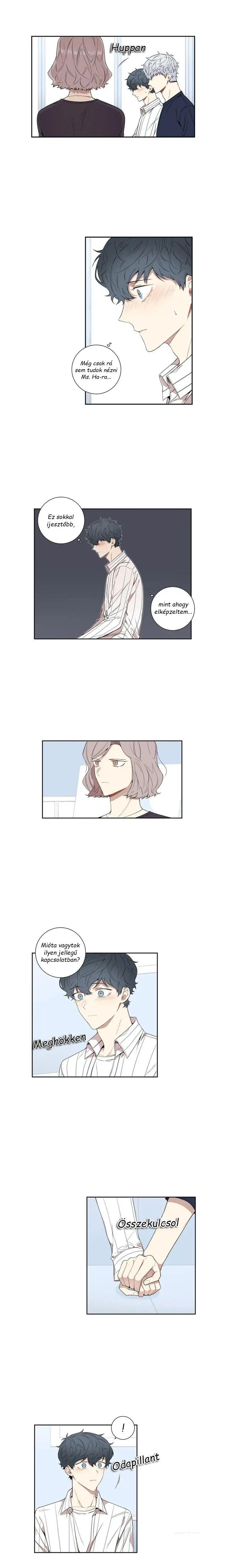 34444916 800 5538 113012